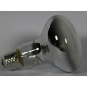 Philips Λάμπα Πυρακτώσεως καθρέπτου R80, 100W, για Ντουί E27