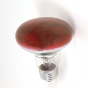 Osram Λάμπα Πυρακτώσεως R80, 60W, για Ντουί E27, Κόκκινη