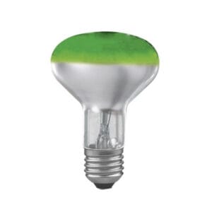 Leuci Λάμπα R63, 40W, για Ντουί E27, Πράσινη