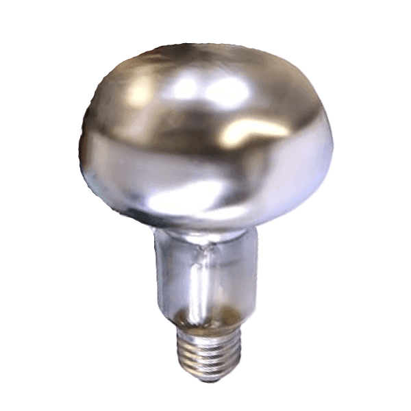 Philips Λάμπα Spotone R95 150W για Ντουί E27